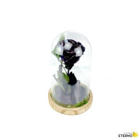 Rosa eterna Black Gold en Cúpula de Cristal