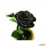 Rosa eterna Black Gold en Cúpula de Cristal