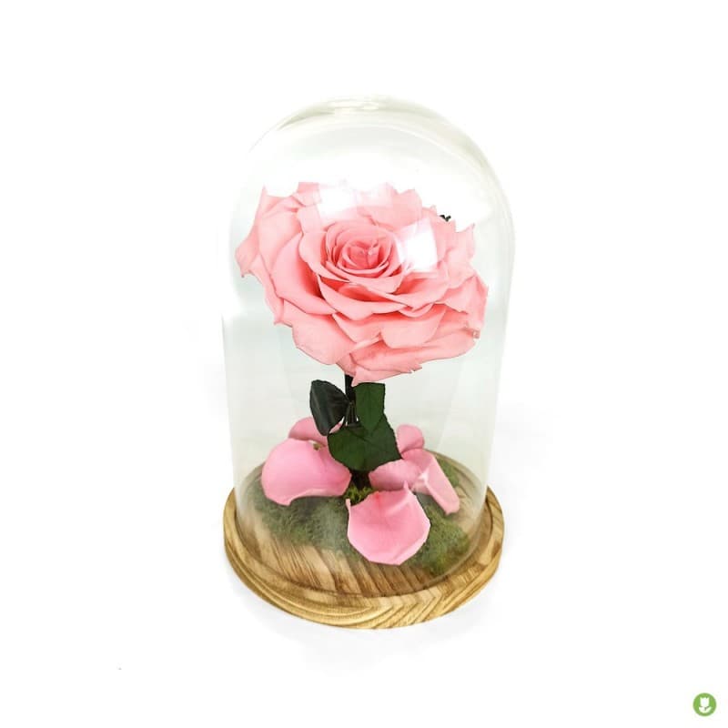 Kit Fissaggio Divisore Per Acquario - 21g Per Separare Pesci Aggressivi O In Convalescenza - Foto 11