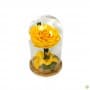 Rosa Eterna king  en Cúpula de cristal amarillo eléctrico