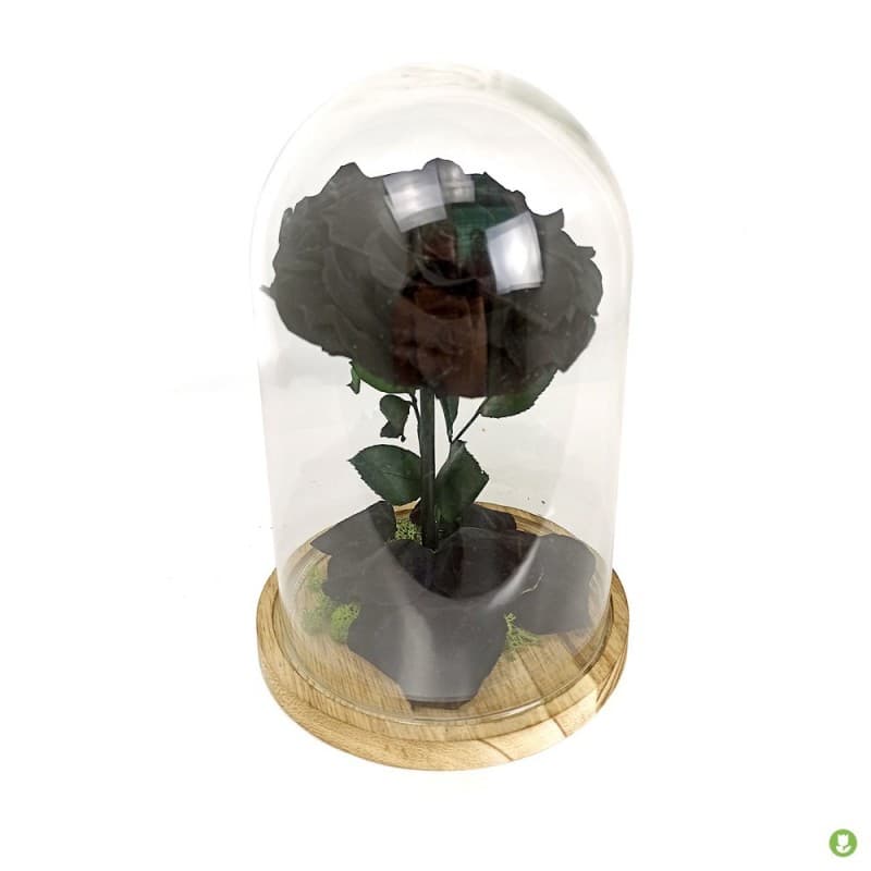 Fermacampioni In Ottone 20mm - Confezione Da 100 Pezzi - Per Falegnameria E Fai-Da-Te - Foto 5