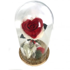 Rosa Eterna Corazón Rojo y blanco en Cúpula de cristal