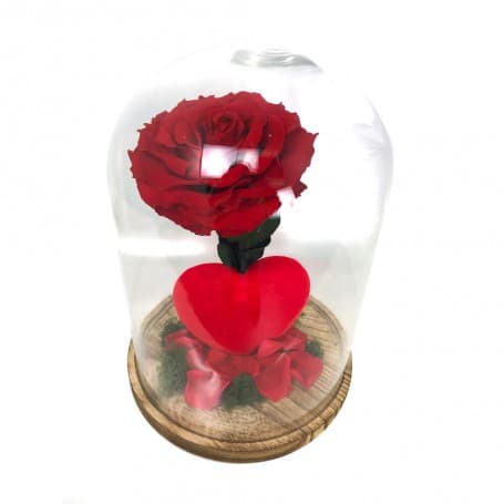Rosa Eterna King Corazón Rojo en Cúpula de cristal