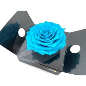 Rosa Eterna Azul claro King