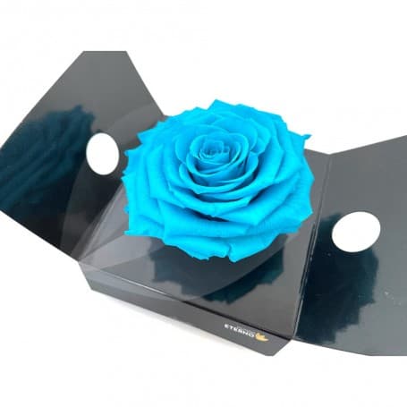 Rosa Eterna Azul claro King