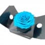 Rosa Eterna Azul claro King