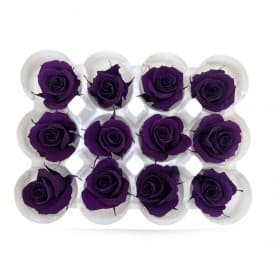 ROSAS LILA OSCURO 12UDS DE 4CM