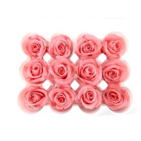 ROSAS ROSA 12UDS DE 4CM