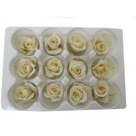 ROSAS CREMA 12UDS DE 4CM