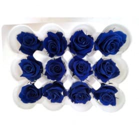 ROSAS AZUL OSCURO 12UDS DE 4CM