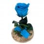 Mundo Eterno | Rosa Preservada Azul en Cúpula de Cristal | Rosa Eterna Natural 22x12 cm | Regalo Original