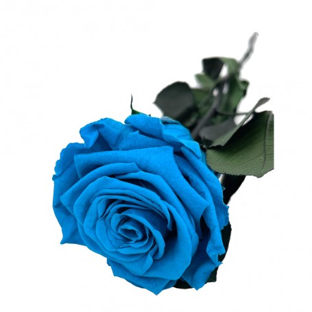 Rosa Eterna Azul 35cm