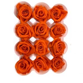 ROSAS NARANJAS 12UDS DE 4CM