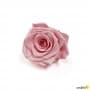 Rosa Eterna Rosa Pastel 35cm