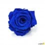 Rosa Eterna Azul Oscuro 35cm