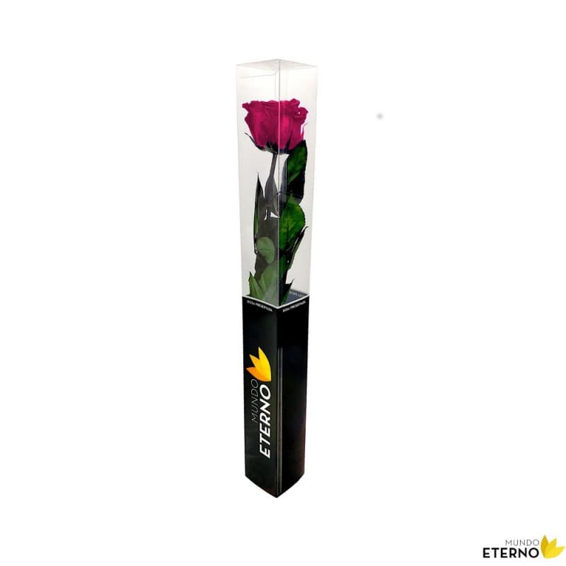 Mundo Eterno: Los 19 mejor productos de la marca de flor