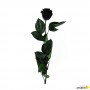 Rosa Eterna Negra 55cm