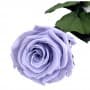 Rosa Eterna Lavanda 35cm