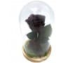 Rosa eterna Burdeos en Cúpula de Cristal