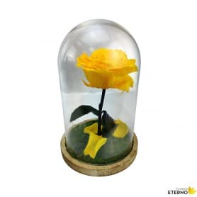 Rosa Eterna Amarillo Eléctrico en Cúpula de cristal