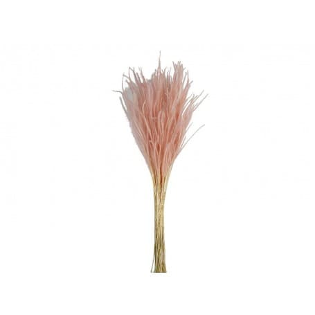 OURO ROSA PRESERVADO 60CM