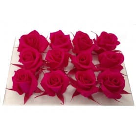 ROSAS FUCSIA 12UDS DE 4CM