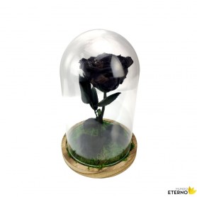 Rosa Eterna Negra en Cúpula de cristal