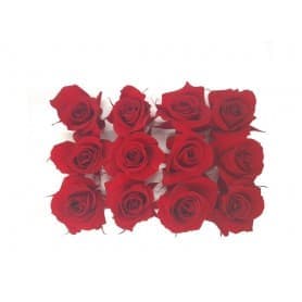 ROSAS ROJAS 12UDS DE 4CM