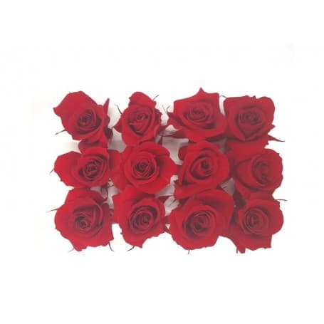 ROSAS ROJAS 12UDS DE 4CM