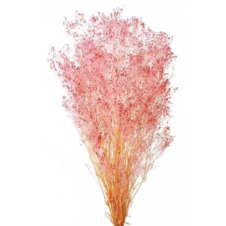 GYPSOPHILA ROSA 60CM PRESERVADA