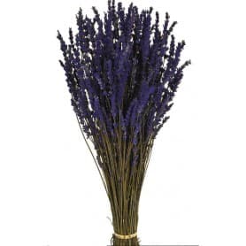 LAVANDA AZUL 45CM PRESERVADA