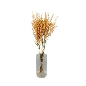 ASTILBE NATURAL 50CM PRESERVADO