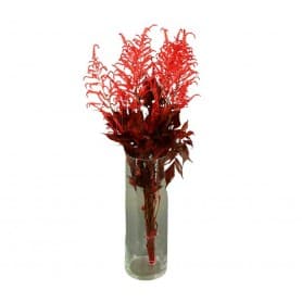 ASTILBE ROJO 50CM PRESERVADO