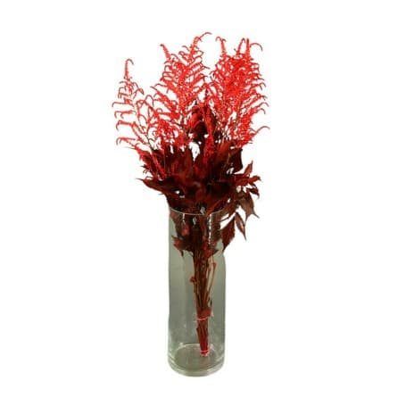 ASTILBE ROJO 50CM PRESERVADO