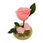 Mundo Eterno | Rosa Preservada Pink Party en Cúpula de Cristal | Rosa Eterna Natural 22x12 cm | Regalo Original