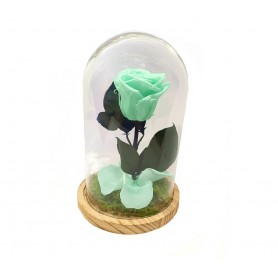 Rosa Eterna Verde Menta en Cúpula de cristal