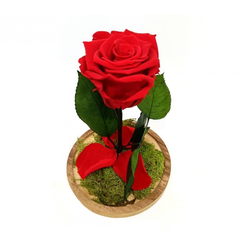 Cúpula de rosa eterna / Flores eternas / Cúpula de flores conservada eterna  / Regalo para ella / Rosa roja / Rosa rosa / Cúpula rosa eterna -   México