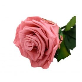 Rosa Eterna Rosa Vintage (Dusty Pink) 35cm