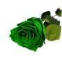 Rosa Eterna Verde 35cm