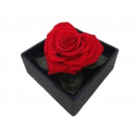 ROSA CORAZÓN PERFUMADO EN CAJA