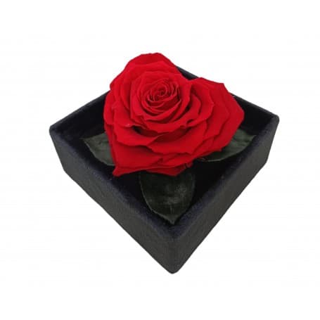 ROSA CORAZÓN PERFUMADO EN CAJA