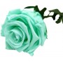 Rosa Eterna Verde Menta 25cm