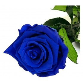 Rosa eterna azul oscuro 25cm