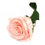 Rosa eterna Light Pink 25cm